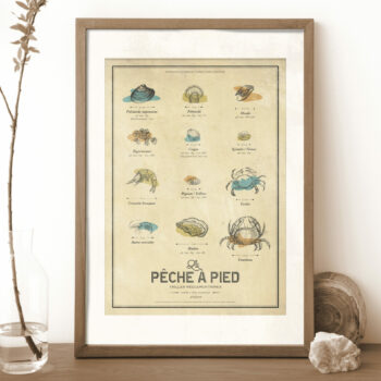 Affiche-peche-a-pied